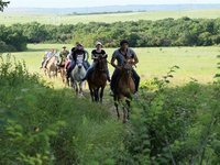 Эко-туристический комплекс «Ферма»