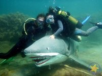 Дайвинг центр