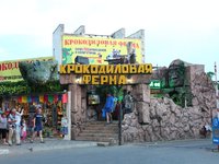 Крокодиловая ферма